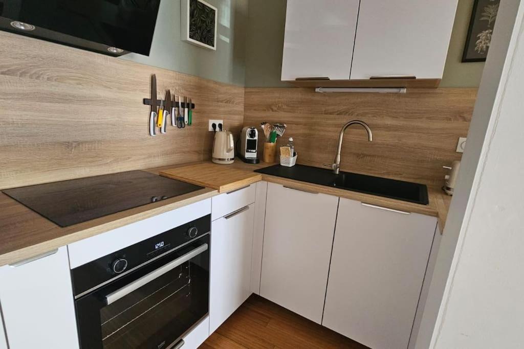 Ferienwohnung Le Grand Rue Thonon-les-Bains Exterior foto